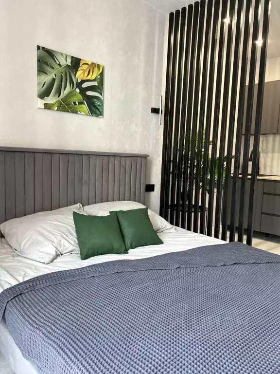 Студия Краснодарский край, Сочи ул. Искры, 88к6 (24.5 м) - Фото 1