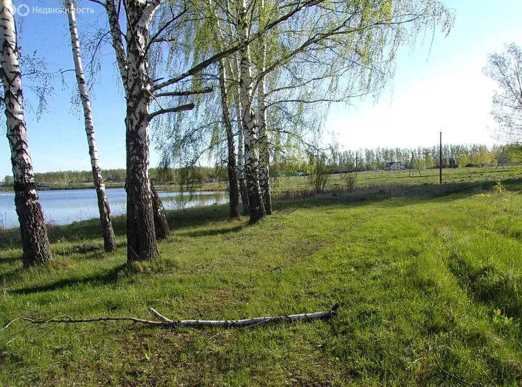 Участок в Московская область, городской округ Серпухов, деревня ... - Фото 1