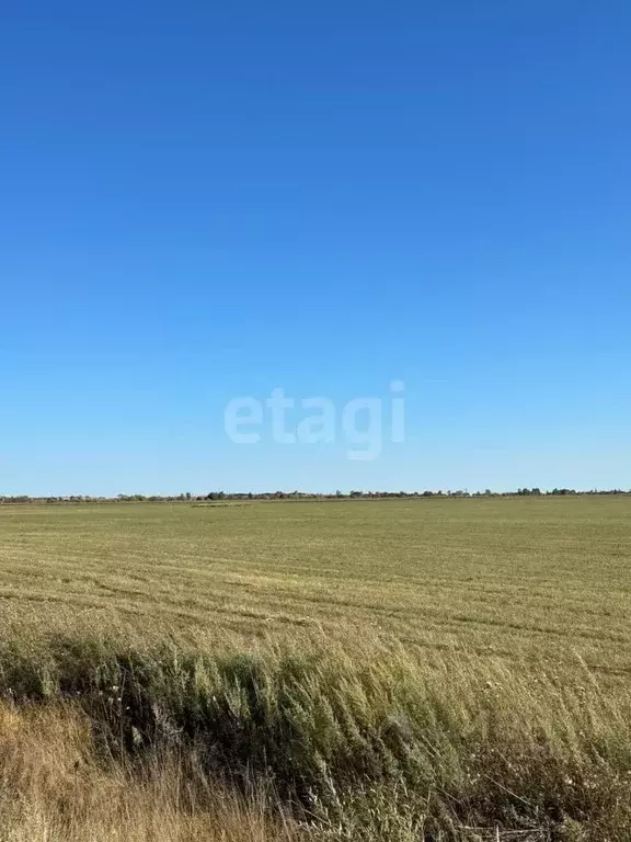 Участок в Амурская область, Благовещенский район, с. Кантон-Коммуна  ... - Фото 0