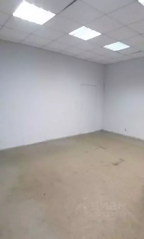 Офис в Ярославская область, Ярославль ул. Нефтяников, 5 (184 м) - Фото 2