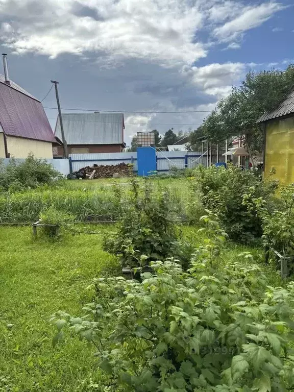 Дом в Ханты-Мансийский АО, Сургут Дорожник СОТ, ул. Пятая (44 м) - Фото 0
