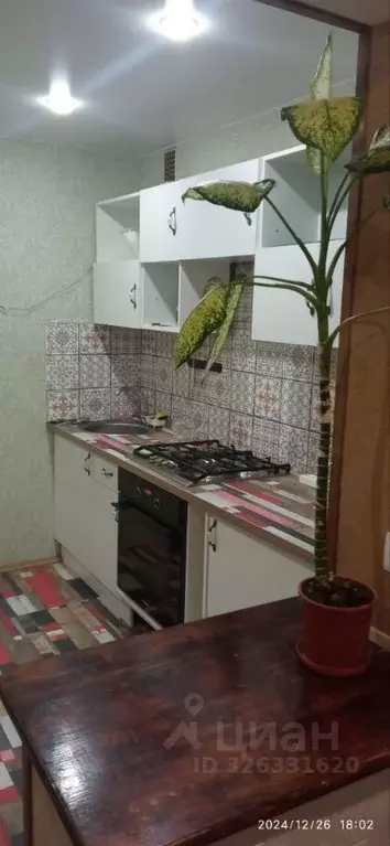 1-к кв. Псковская область, Псков ул. Кузбасской Дивизии, 38 (38.0 м) - Фото 1