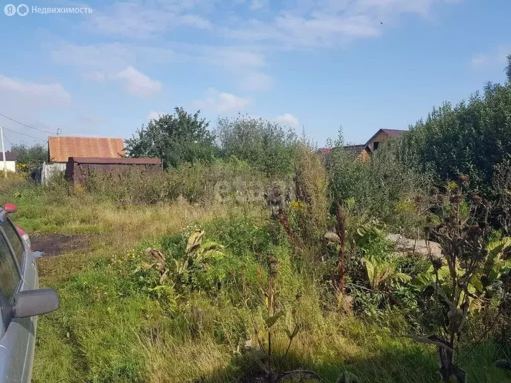 Участок в Отрадовский сельсовет, СНТ Незабудка (4 м) - Фото 1