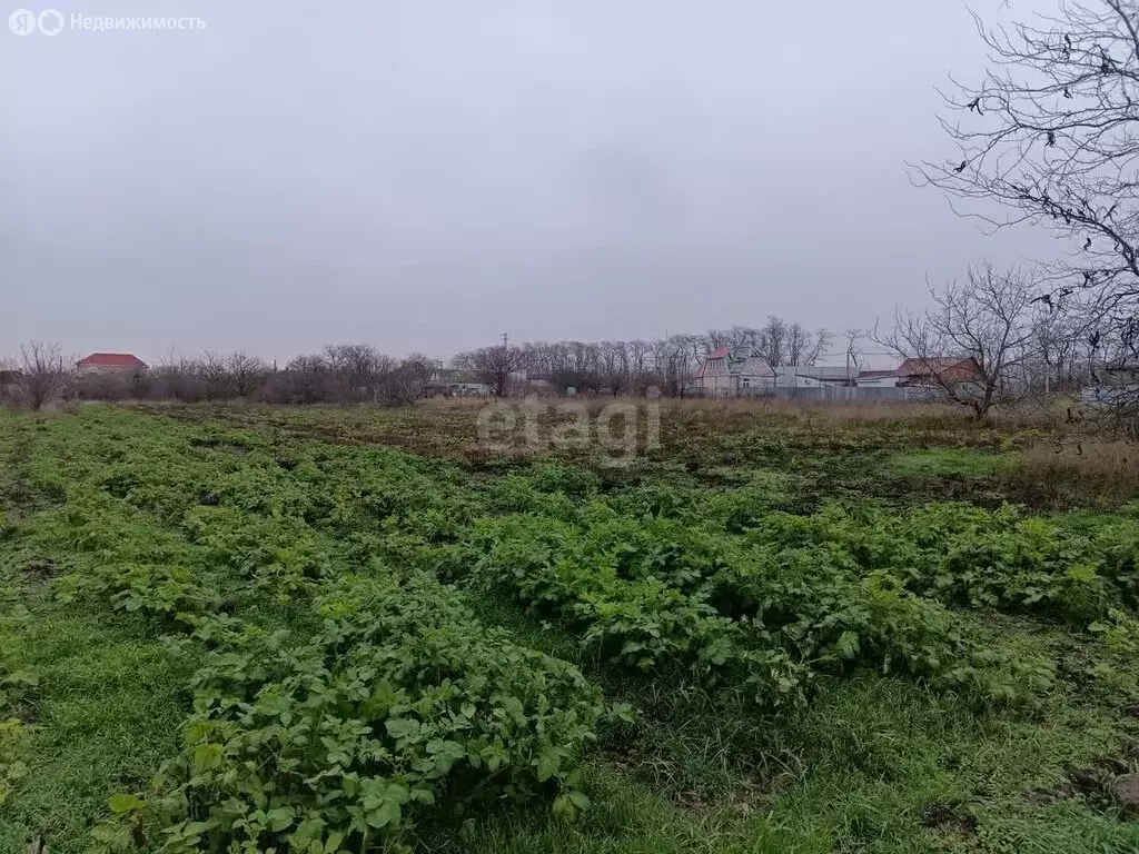 Участок в Краснодарский край, муниципальный округ Анапа, хутор ... - Фото 1