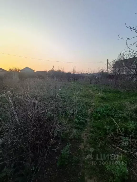 Участок в Волгоградская область, Городищенский район, Царицынское ... - Фото 0