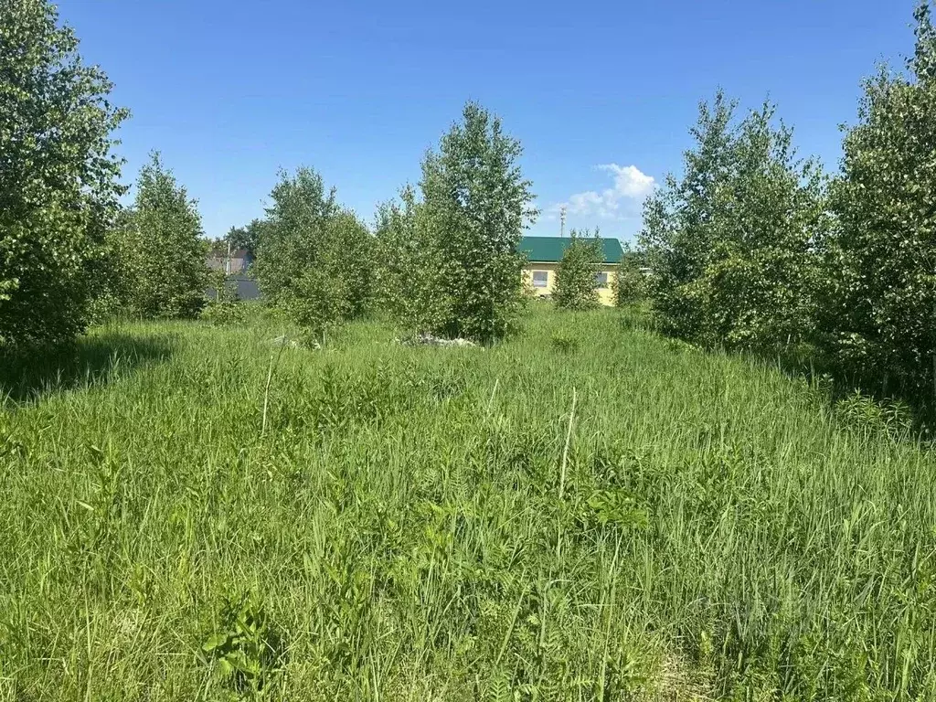 Участок в Московская область, Раменский муниципальный округ, д. ... - Фото 1
