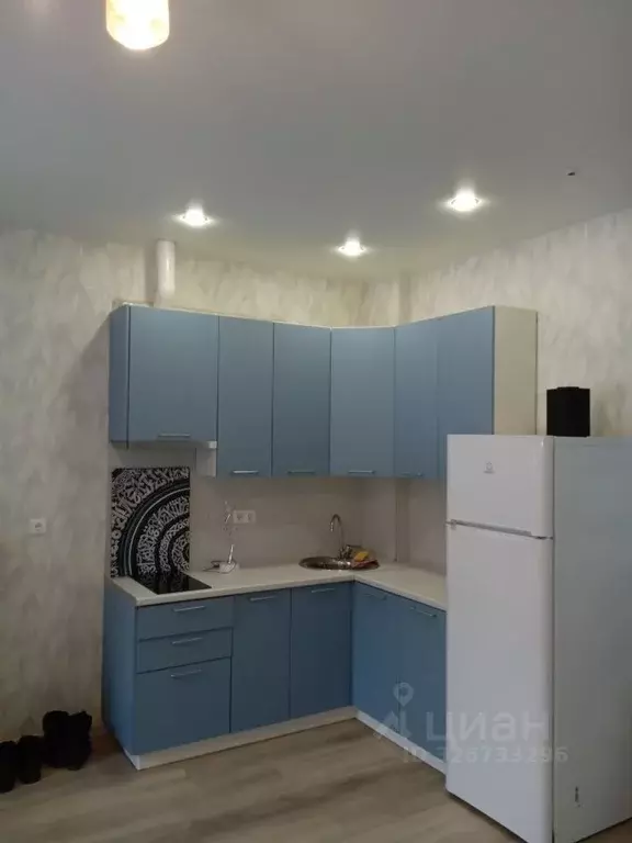 Свободной планировки кв. Москва Березовая аллея, 19к2 (25.0 м) - Фото 1