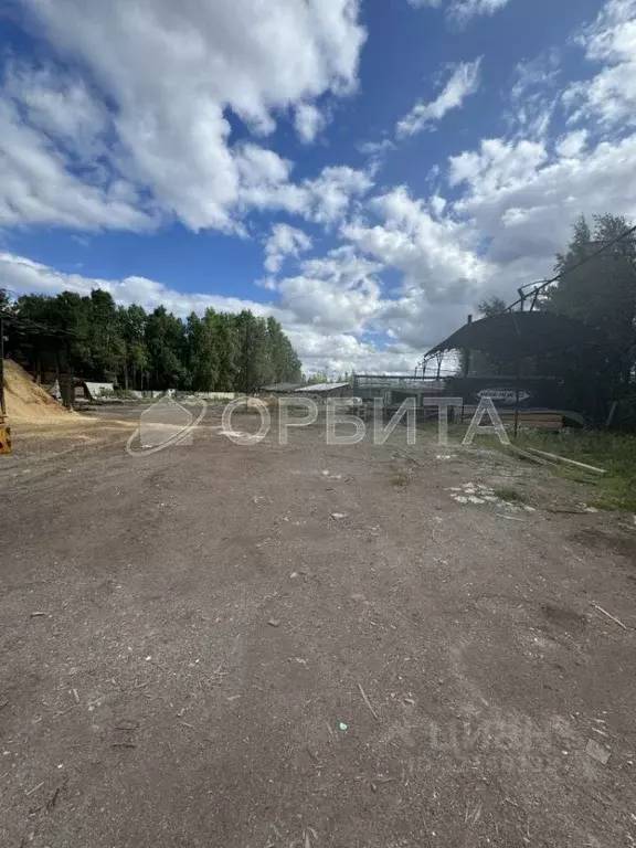 Участок в Тюменская область, Тюмень городской округ, пос. Утешевский  ... - Фото 1