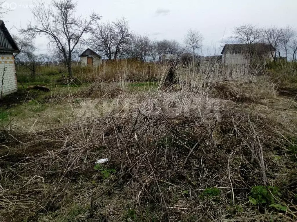Участок в Брянский район, посёлок Мичуринский (508 м) - Фото 1