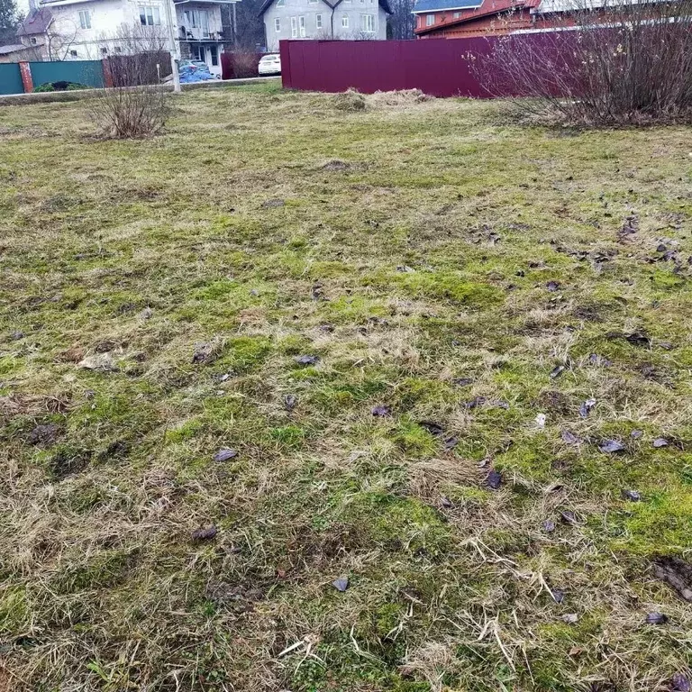 Участок в Московская область, Подольск городской округ, д. Бережки ул. ... - Фото 2