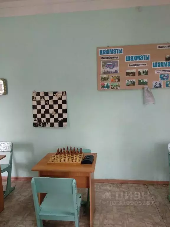 Помещение свободного назначения в Амурская область, с. Тамбовка ул. ... - Фото 0