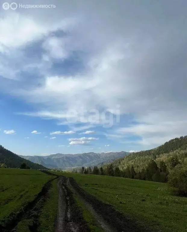 Участок в Чемальский район, Узнезинское сельское поселение, село Аскат ... - Фото 1