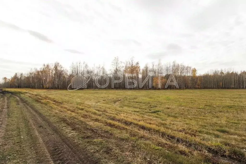 Участок в Тюменская область, Тюменский район, с. Горьковка  (8.0 сот.) - Фото 0