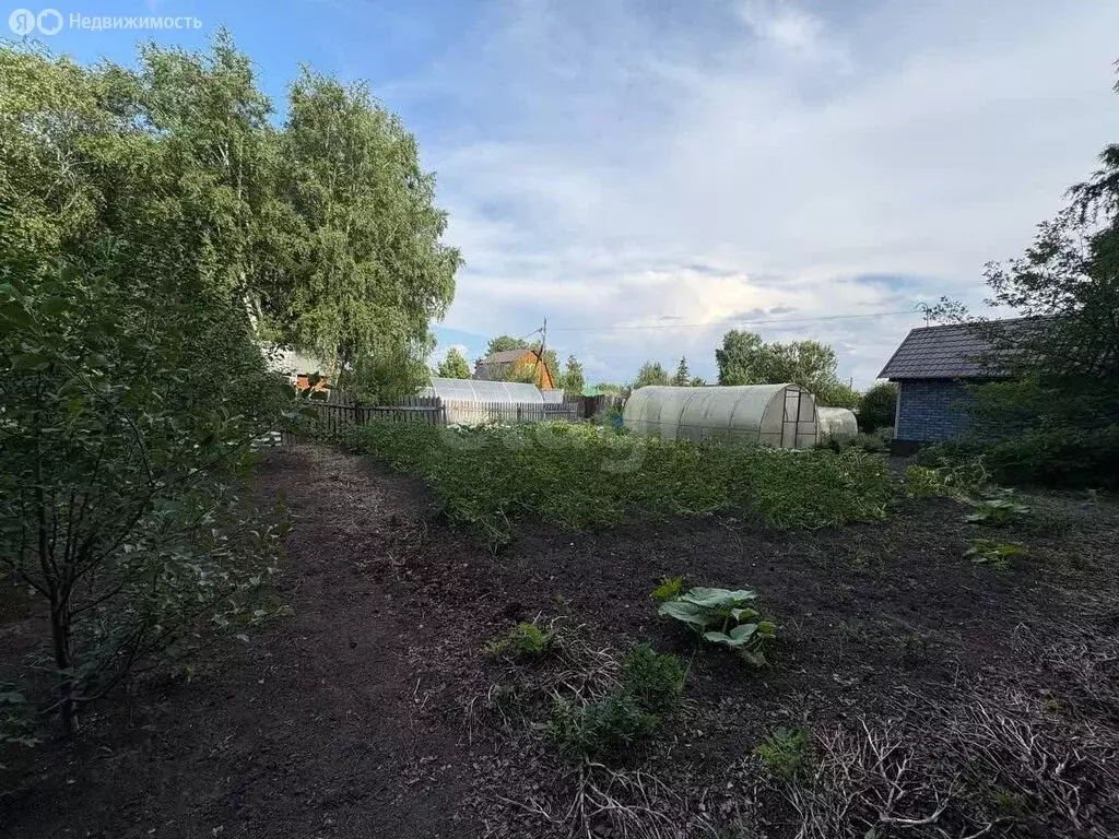 Дом в Тюмень, СНТ Пчёлка, Грибная улица (40 м) - Фото 1