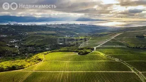 4-комнатная квартира: посёлок Веселовка, улица Гагарина, 3 (59.2 м) - Фото 0