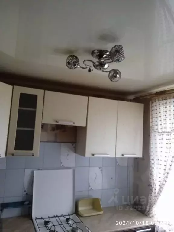 1-к кв. Вологодская область, Череповец Комсомольская ул., 39 (30.0 м) - Фото 0