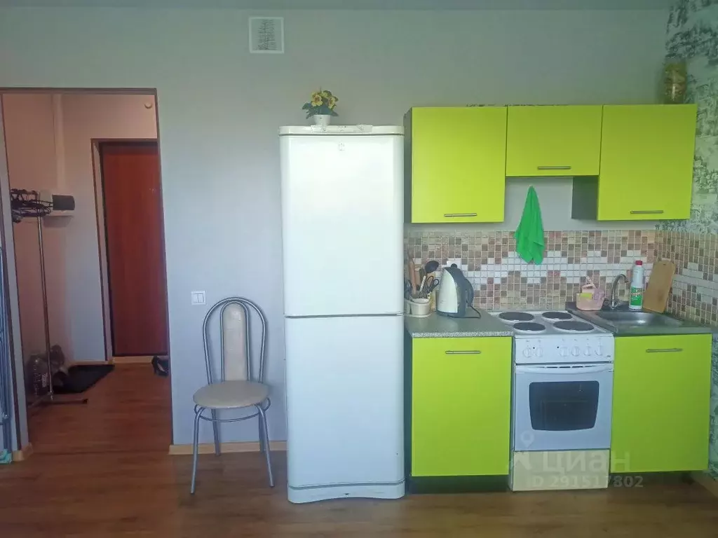 Студия Челябинская область, Челябинск Набережная ул., 5А (28.0 м) - Фото 1