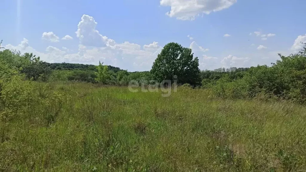 Участок в Белгородская область, Белгородский район, Беломестненское ... - Фото 1