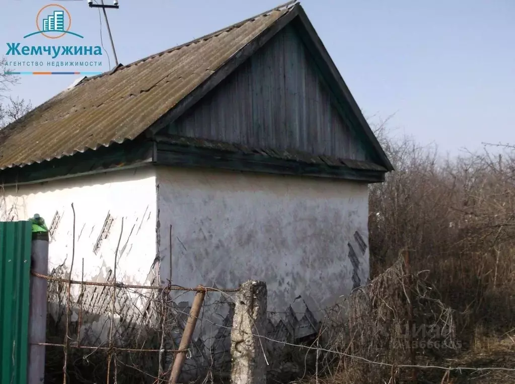 Дом в Ульяновская область, Димитровград Рябинка садовое товарищество, ... - Фото 0