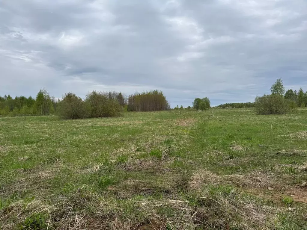 Участок в Московская область, Клин городской округ, д. Плюсково, ... - Фото 1