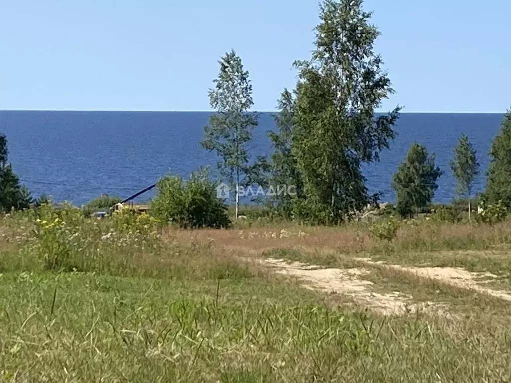 Участок в Ярославская область, Рыбинский муниципальный округ, ... - Фото 1