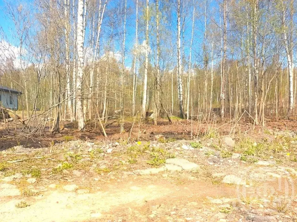 Участок в Санкт-Петербург пос. Парголово, Вокзальное ш. (12.0 сот.) - Фото 0