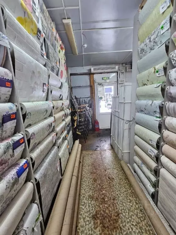 Помещение свободного назначения в Татарстан, Набережные Челны ... - Фото 2