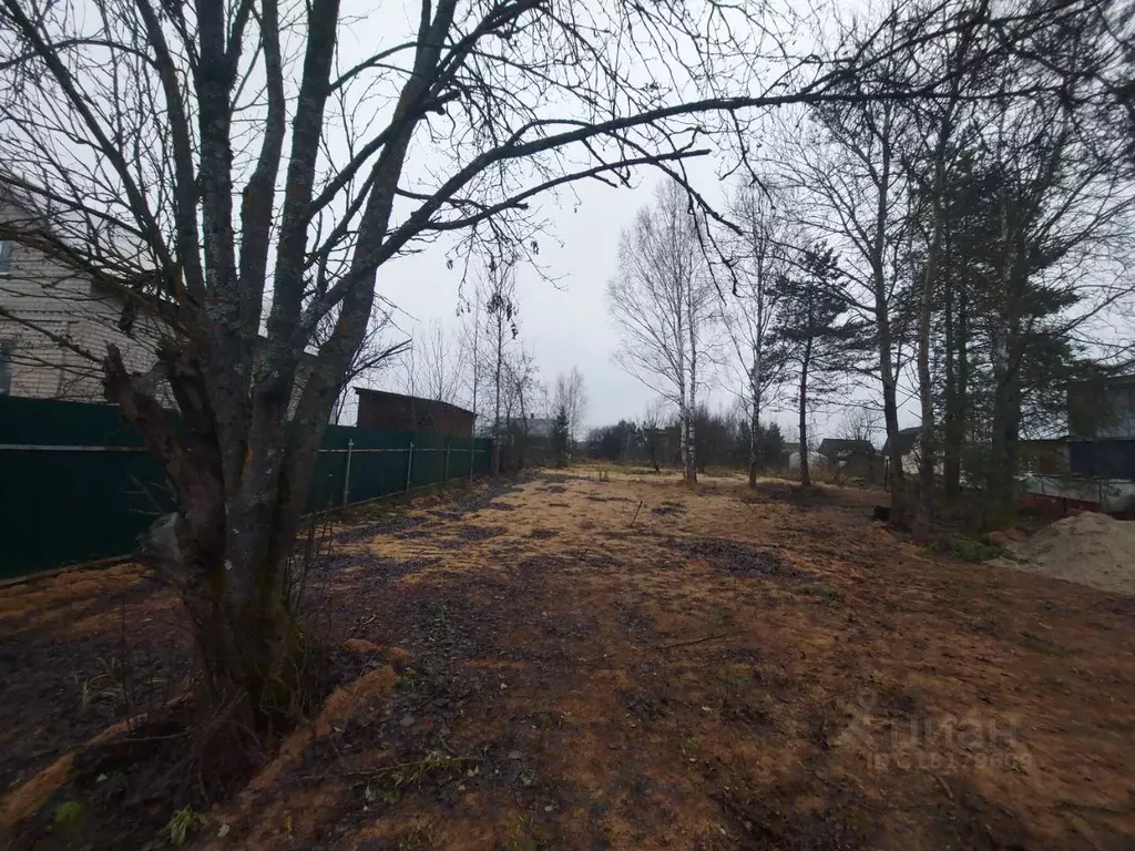 Участок в Владимирская область, Киржачский район, Филипповское ... - Фото 2