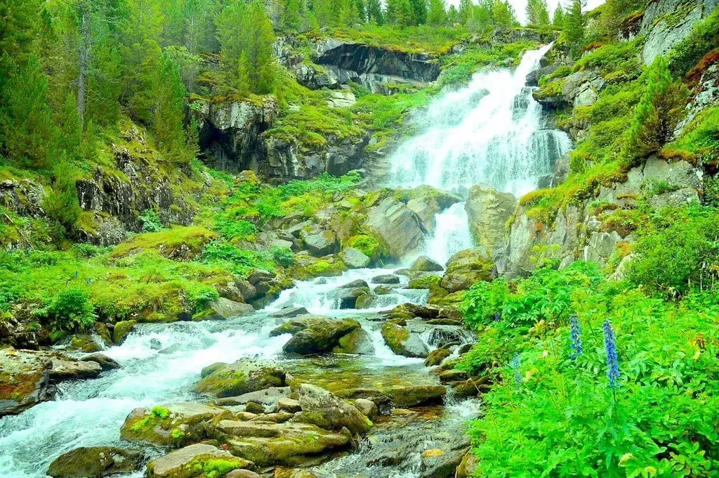 Участок 4 га (СНТ, ДНП) - Фото 1