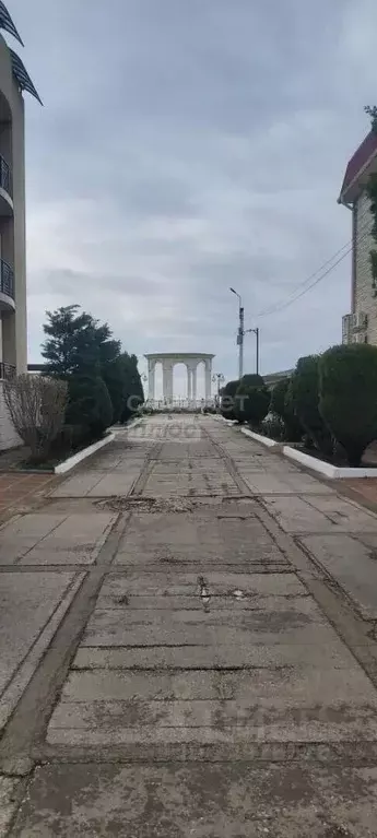 Комната Крым, Симферопольский район, Николаевка пгт ул. Чудесная, 2 ... - Фото 1