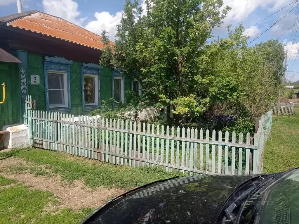 Дом в Челябинская область, Уйский район, с. Маслово Красноармейская ... - Фото 1