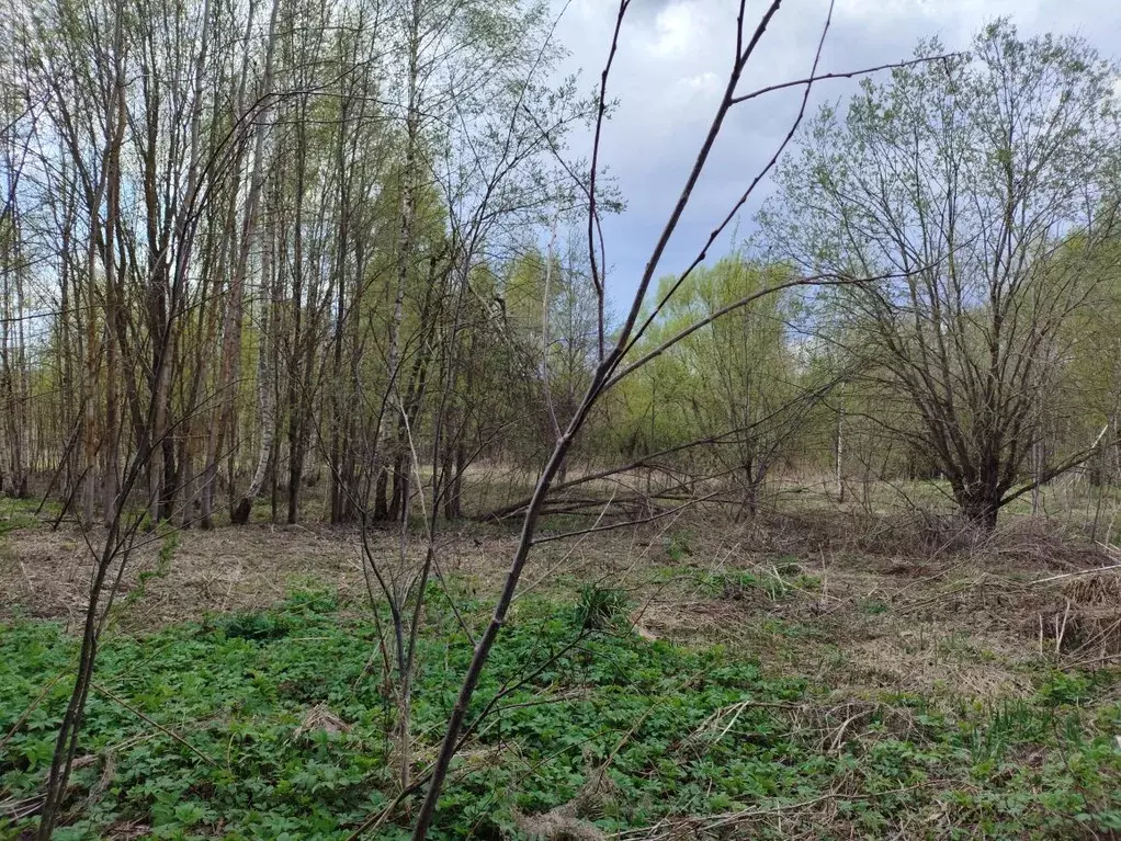 Участок в Московская область, Клин городской округ, д. Григорьевское ... - Фото 1