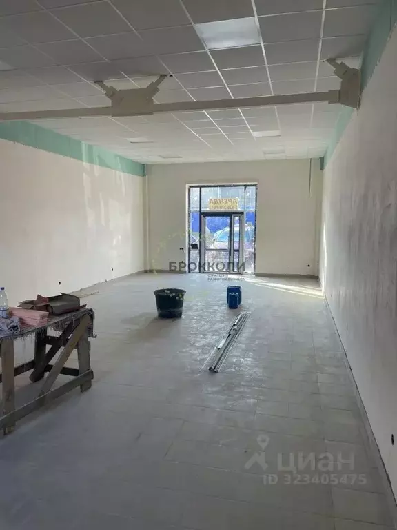 Торговая площадь в Ростовская область, Аксай ул. Чапаева, 180 (90 м) - Фото 2