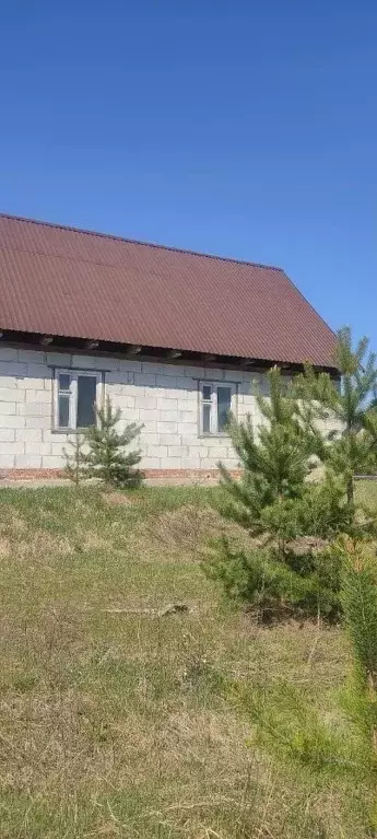 Дом в Мордовия, Зубова Поляна рп ул. Лесопарковая, 6 (61 м) - Фото 0