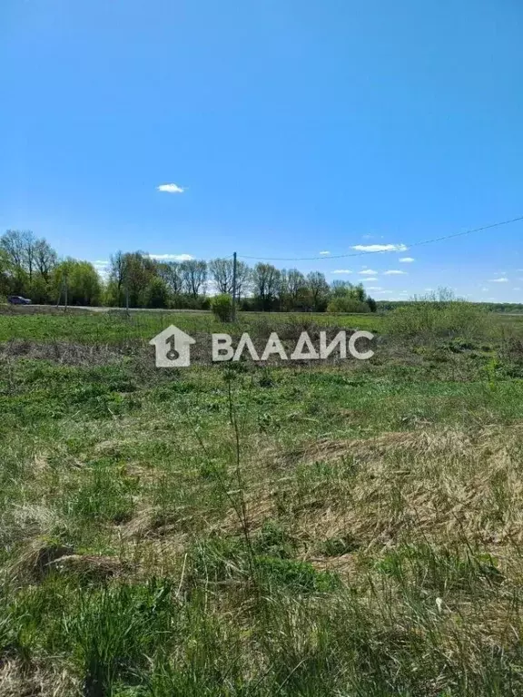 Участок в Владимирская область, Суздальский район, с. Новоалександрово ... - Фото 1