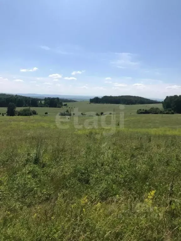 Участок в Красноярский край, Емельяновский муниципальный округ, ... - Фото 1