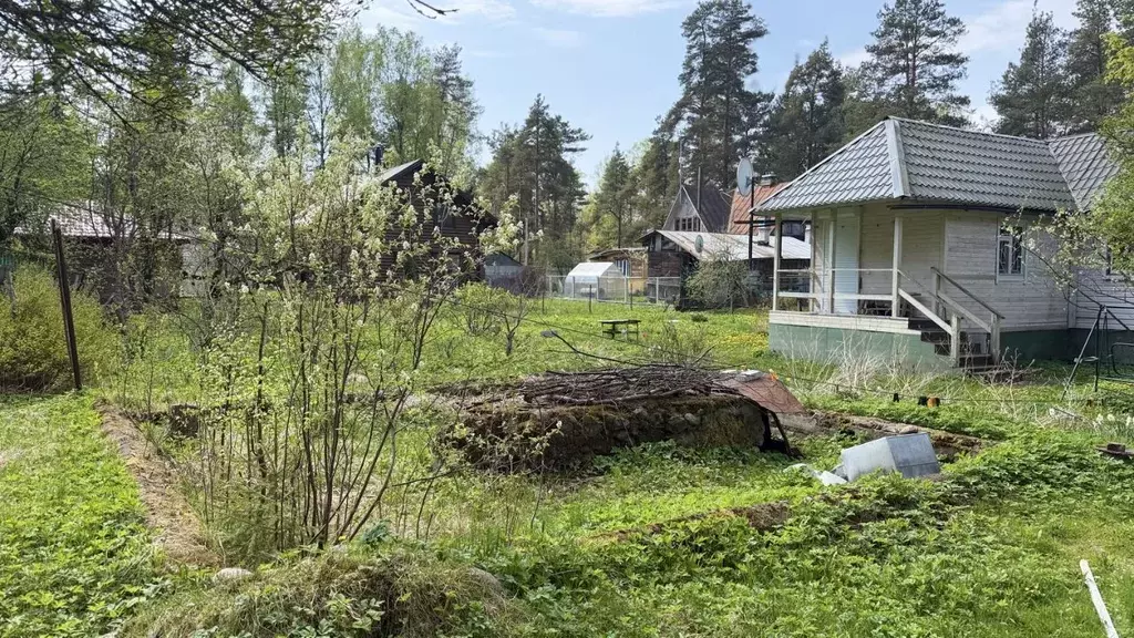 Участок в Ленинградская область, Выборгский район, Рощино городской ... - Фото 2