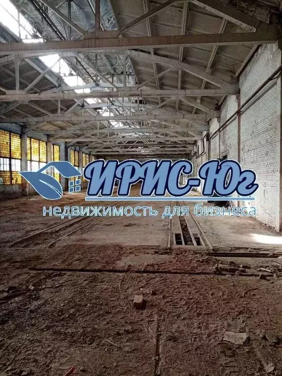 Новороссийская 234 краснодар