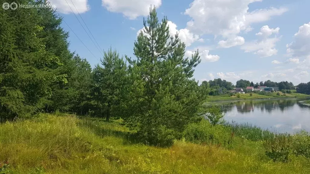 Участок в Ярославская область, Некрасовский муниципальный округ, село ... - Фото 2