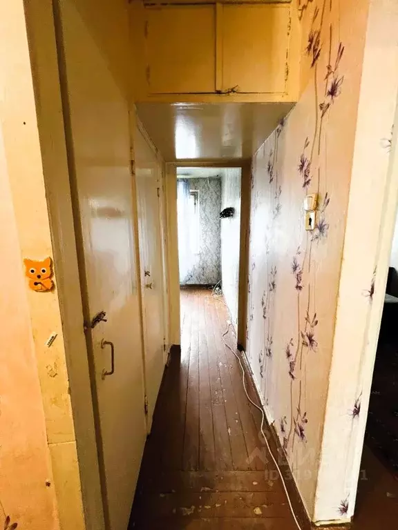 2-к кв. Мурманская область, Апатиты ул. Кирова, 10 (47.5 м) - Фото 1