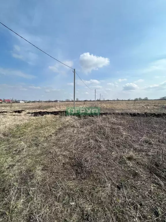 Участок в Пензенская область, с. Бессоновка ул. Сурская (10.0 сот.) - Фото 2
