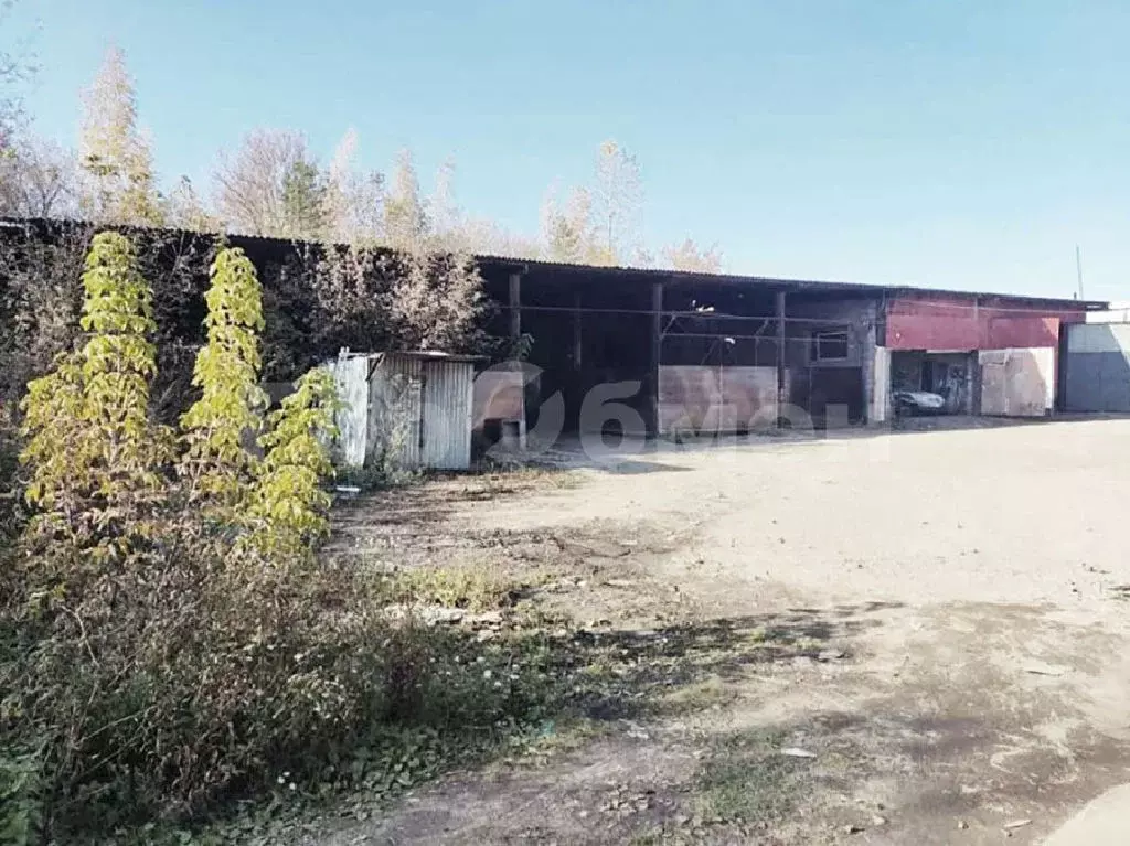 Продается участок в пос. Биокомбината - Фото 1
