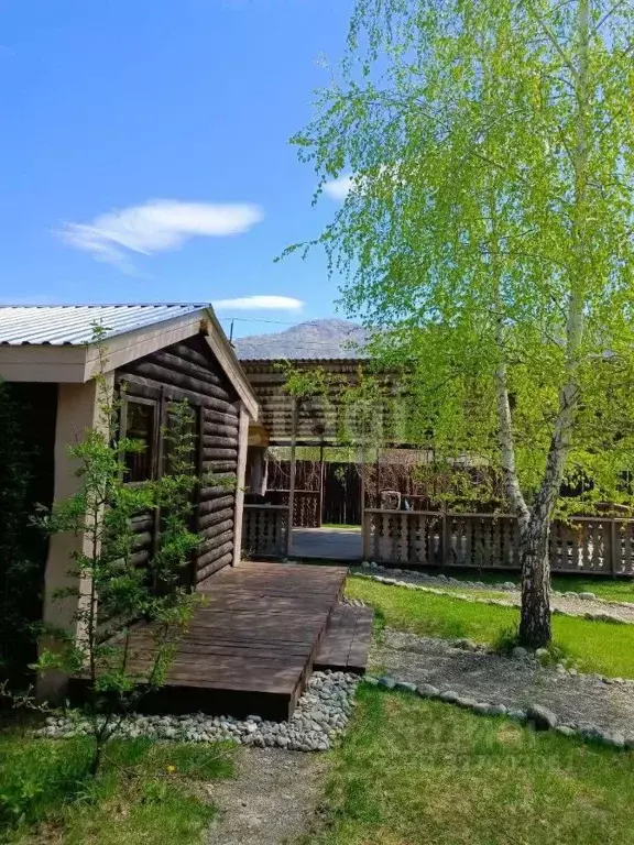 Участок в Алтай, Чемальский район, Рублевка ДПК ул. Дачная, 19 (10.4 ... - Фото 1