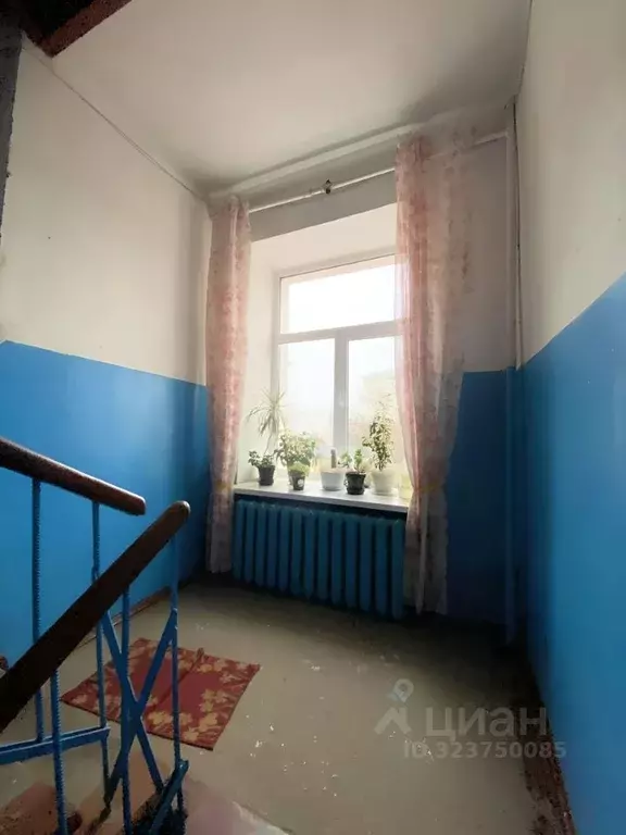 2-к кв. Коми, Сыктывкар Интернациональная ул., 115 (52.7 м) - Фото 2