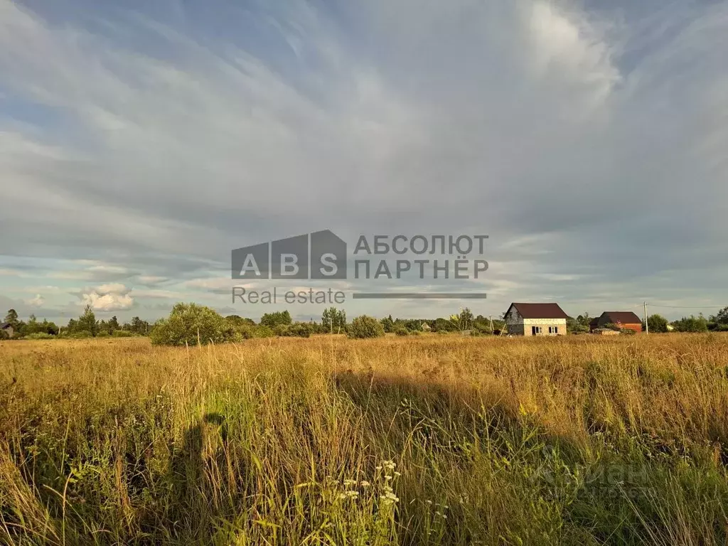 Участок в Новгородская область, Новгородский район, д. Борок  (38.1 ... - Фото 2