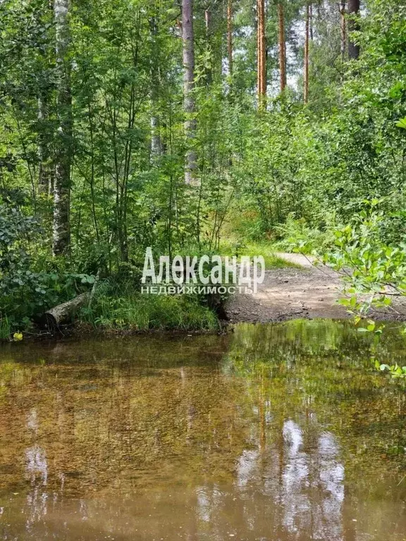 Дом в Карелия, Лахденпохский муниципальный округ, Район поселка ... - Фото 1