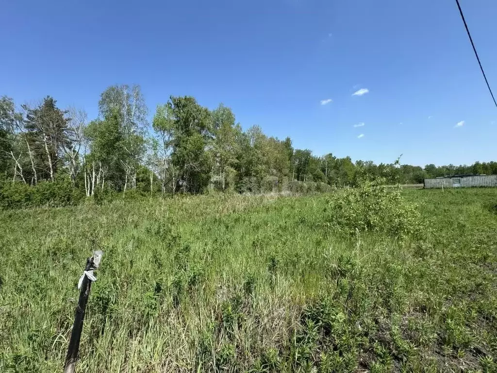 Участок в Тюменская область, Тюменский муниципальный округ, с. Каменка ... - Фото 1