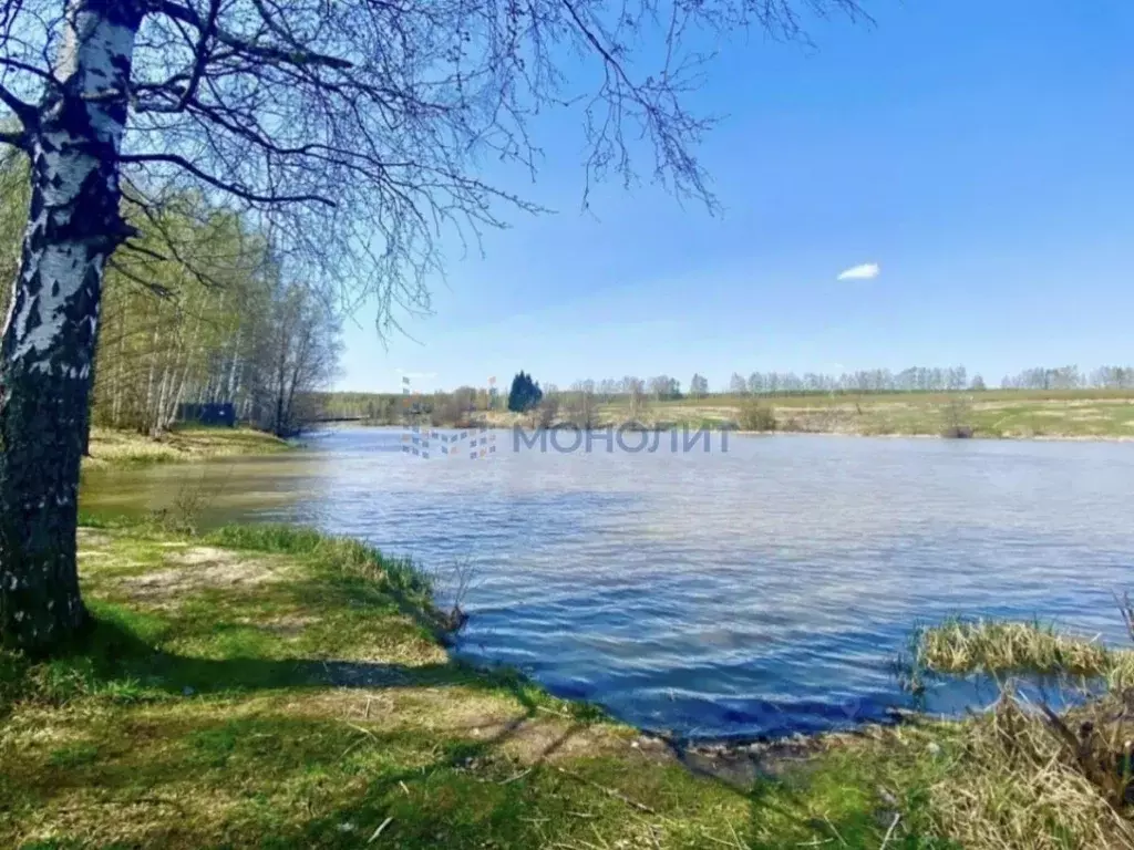 Участок в Нижегородская область, Богородский муниципальный округ, д. ... - Фото 1
