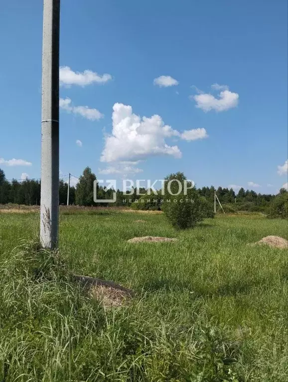 Участок в Костромская область, Волгореченск ул. Вишневая, 16 (1006.0 ... - Фото 0