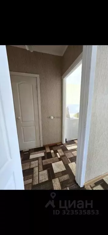 1-к кв. Саратовская область, Саратов проезд 5-й Динамовский, 4к1 (30.0 ... - Фото 2